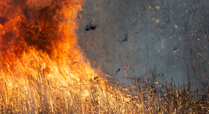 Symbolbild. Foto: pixabay.com/Ted Erski