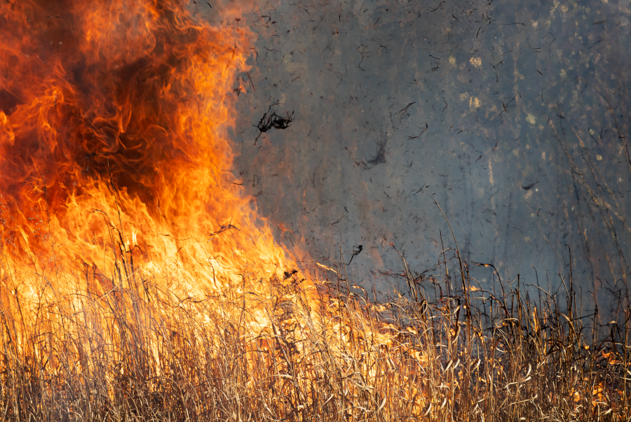 Symbolbild. Foto: pixabay.com/Ted Erski