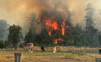 Foto: Freiwillige Feuerwehr Sonsbeck