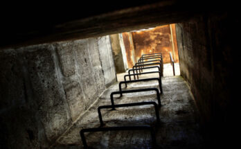 Foto: pixabay.com/Martin Bock