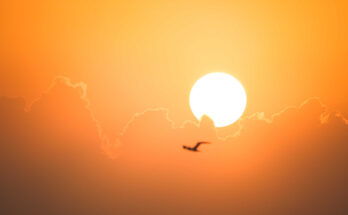 Foto: pexels.com/Francesco Ungaro