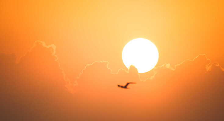Foto: pexels.com/Francesco Ungaro