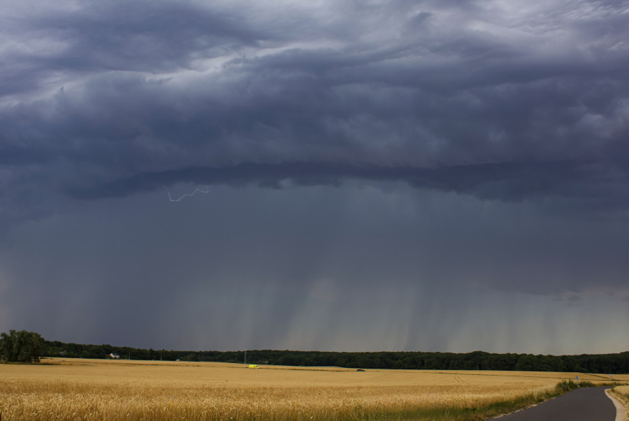 Symbolbild. Foto: pexels.com/Guillaume Boulanger