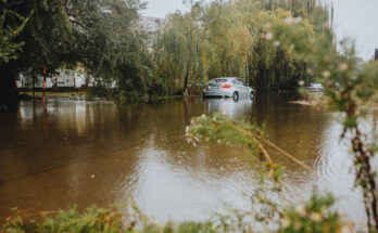 Symbolbild. Foto: Helena Jankovičová Kováčová