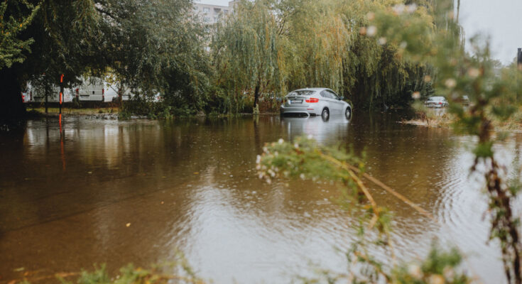 Symbolbild. Foto: Helena Jankovičová Kováčová