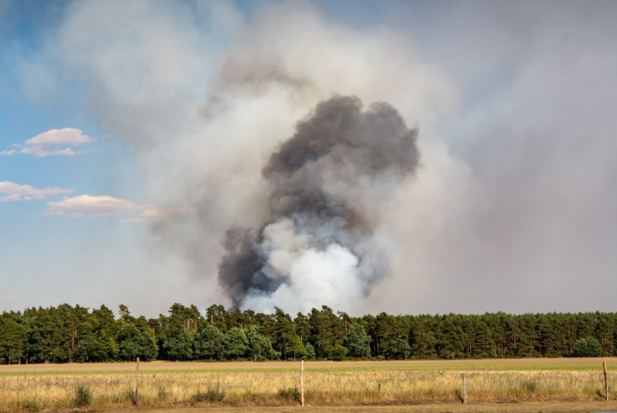 Symbolbild. Foto: pixabay.com/Sven Lachmann