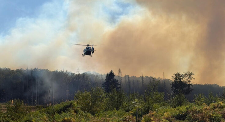 Foto: Feuerwehren im Kreis Soest